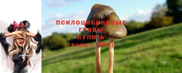 mdpv Вязники